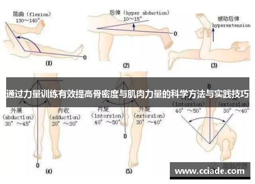 通过力量训练有效提高骨密度与肌肉力量的科学方法与实践技巧