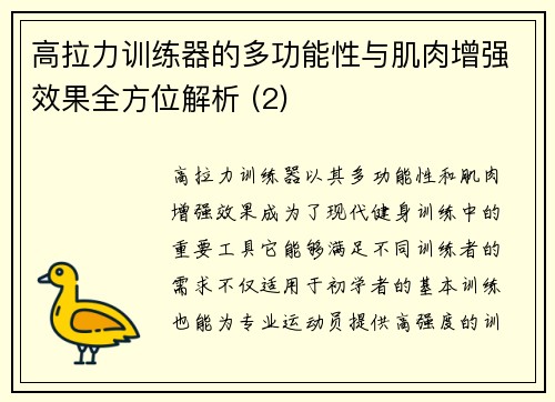 高拉力训练器的多功能性与肌肉增强效果全方位解析 (2)